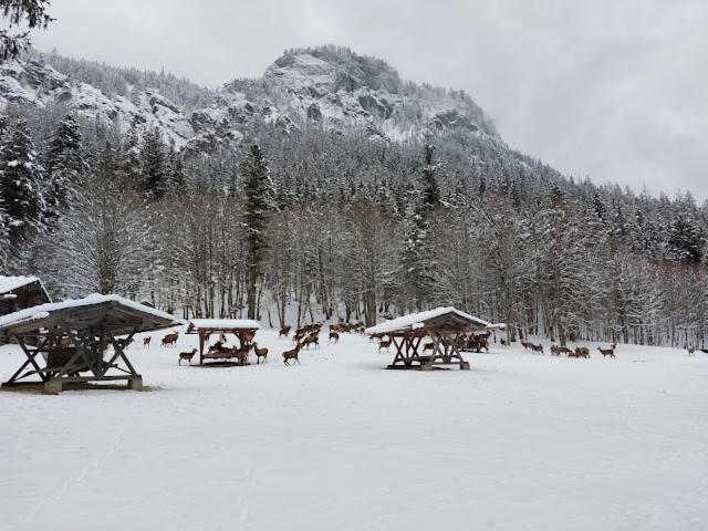 Haus Muehlgraben Hotel Ramsau bei Berchtesgaden Екстериор снимка